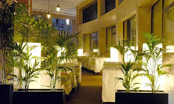 Where Comfort Meets Elegance