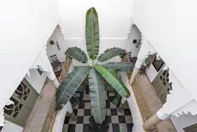 Stay Feel at Home Marrakesh