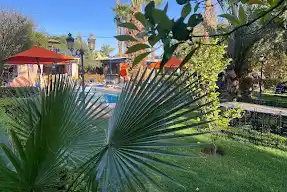 The Calm Side of Marrakech 