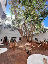 A Fresh Place to Enjoy